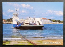 Vintage Postcard Unused Shell