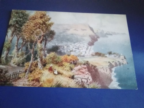 Sidmouth from peake hill - sidmouth,
