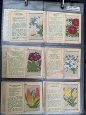 Vintage pretty Kensitas Wix