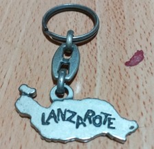 Lanzarote Island shape Lizard Metal Keyring pewter colour mountains camel