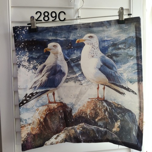 Seagulls beach summer soft - seagulls,