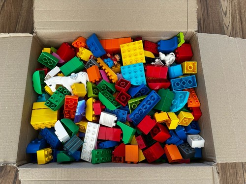 Lego duplo bundle - job, lot