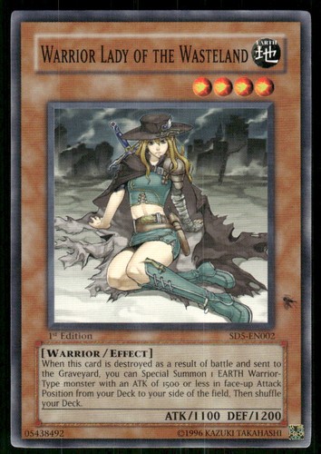 Warrior lady the - of, wasteland
