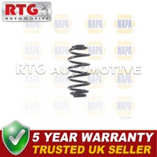 Rear Suspension Coil Spring