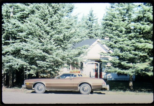 35mm slide transparency colour - 35mm,