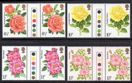 1976 roses flowers traffic - 1976,