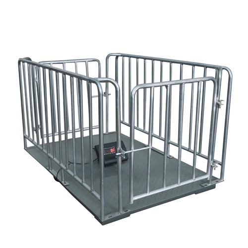 Digital livestock scale - livestock,