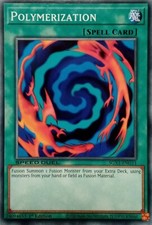 SGX1-ENG11 POLYMERIZATION