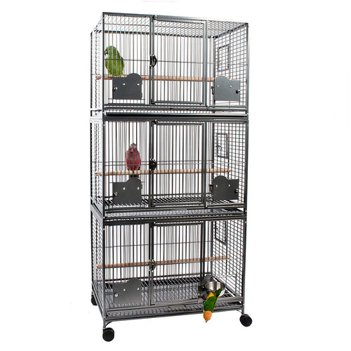 Parrot grande triple - grande,