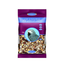 AFRICAN GREY LOW SUNFLOWER -