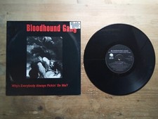 Bloodhound Gang Why's