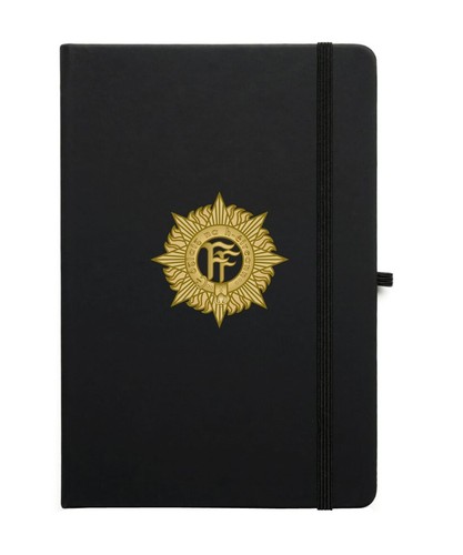 Irish defence forces - ff, badge