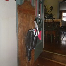 Woodpecker mechanical door