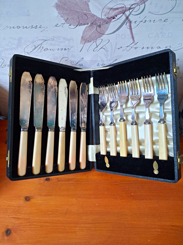 Lodge epns 12pc cased - j,