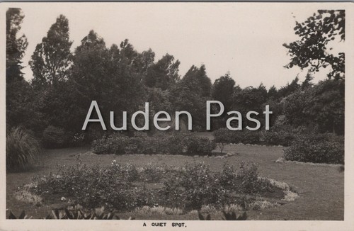 Vintage real photo - postcard, a