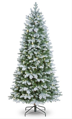 6ft frosted douglas pine - 6ft,