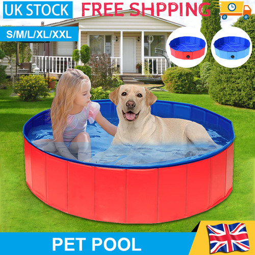 Large pet bath dog - pet, swimming