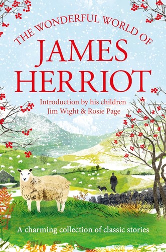 The wonderful world james - world,