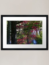 Trout Brook Road Stream -