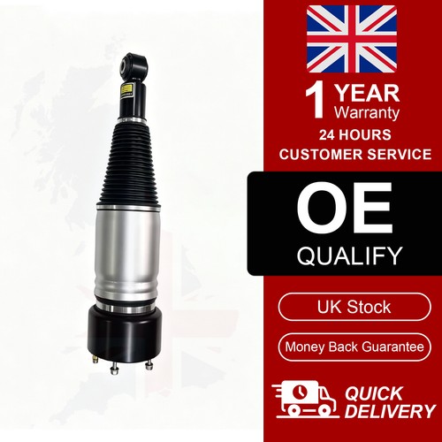 Rear air suspension shock - rear,