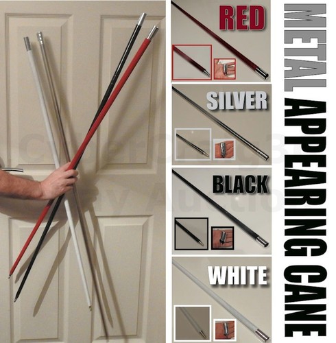 Metal appearing cane - appearing,