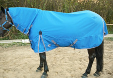 600D COMBO WINTER TURNOUT RUG