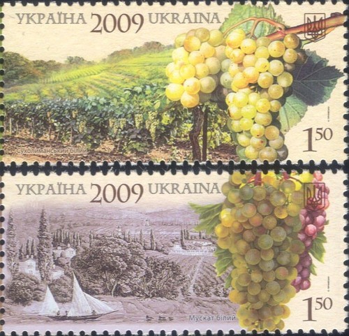 Ukraine 2009 wine - ukraine,