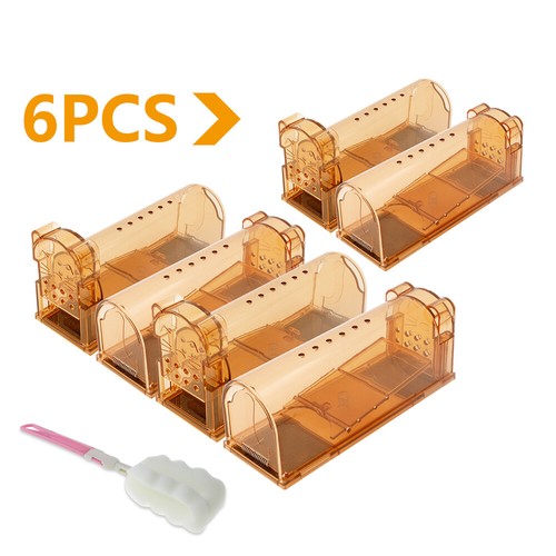 Humane mouse traps - , live