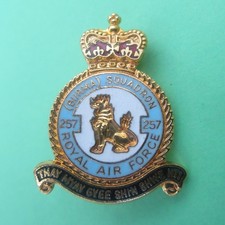 No 257 Squadron Royal Air Force Enamel British RAF/Military Lapel Badge/Brooch