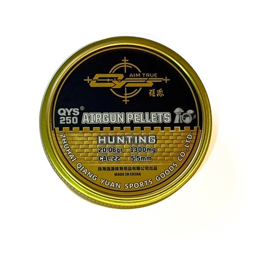 Qys domed heavy 20 - domed, .22
