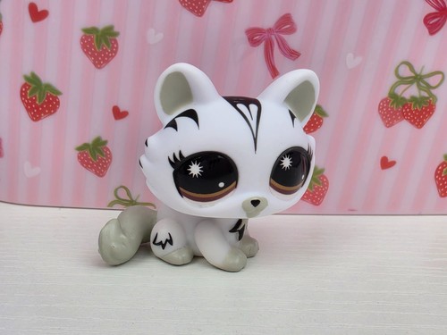 Kitten cat 250 w - kitten,