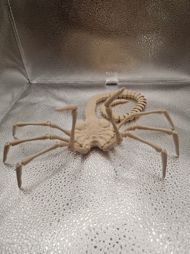 Facehugger alien model - facehugger,