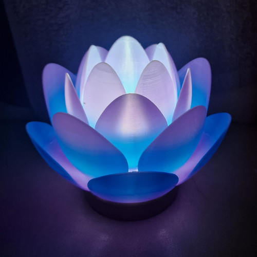 Colour changing lotus - lotus, flower