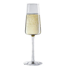 Stolzle Power Champagne