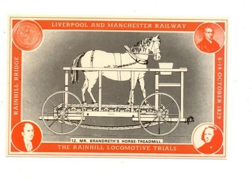 Brandreth s horse - mr.,