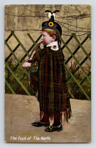 Children scottish boy full - in,