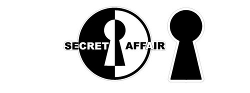 Secret affair vinyl stickers - secret,