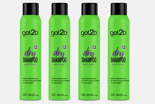 Got2b extra fresh dry shampoo - got2b,