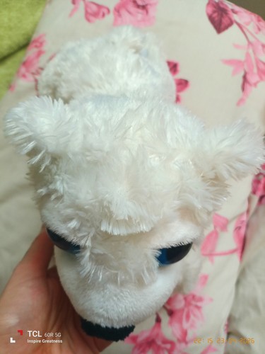 Petting zoo polar bear - polar, plush