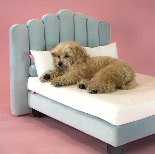Brand new boxed hooman life - new,