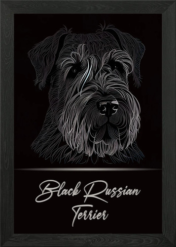 Black russian terrier framed - black,