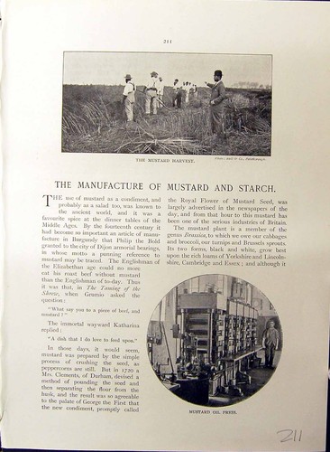 Old manufacture mustard starch - manufacture,
