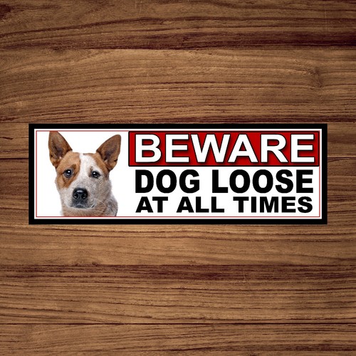 Australian cattle dog - australian,