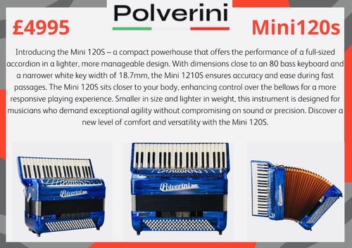 Polverini accordion 120 - 120, s
