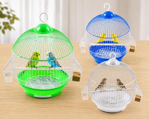 Small bird cage budgies - bird,