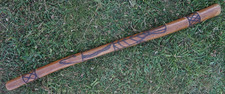 Didgeridoo From Australia, Eucalyptus, Termite Hollowed Carved / Burnt Unpainted