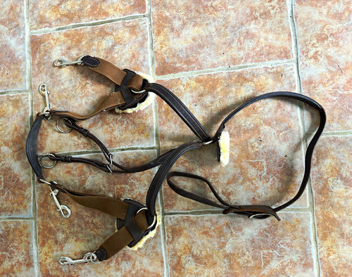 Point brown leather - point, elastic