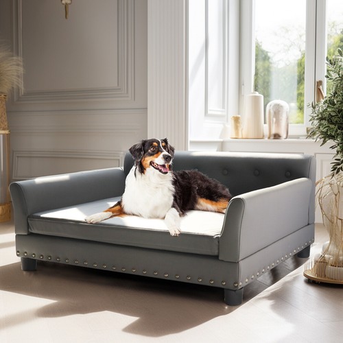Large leather dog - leather,