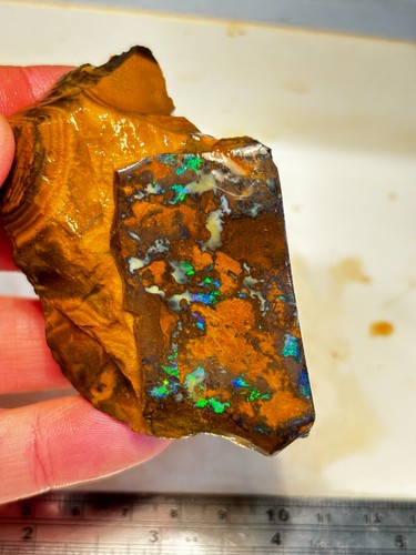 Koroit boulder opal rough - boulder,