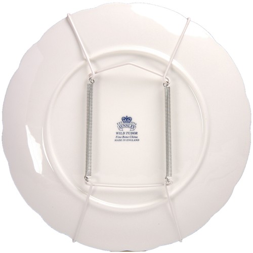 Wire spring plate - wire,
